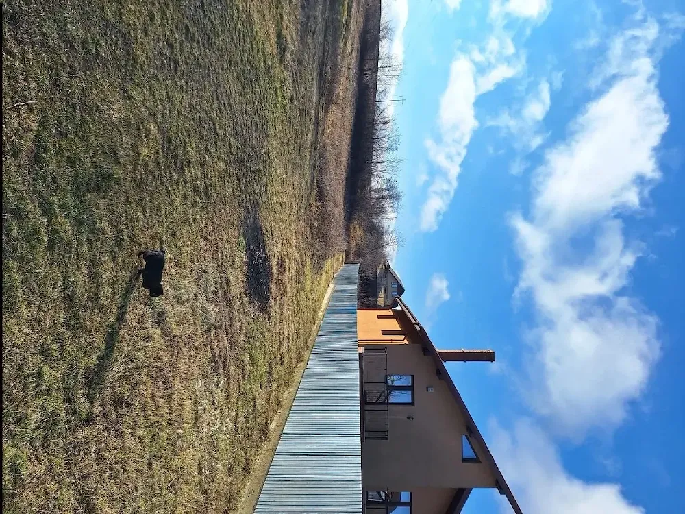 Teren intravilan de vânzare