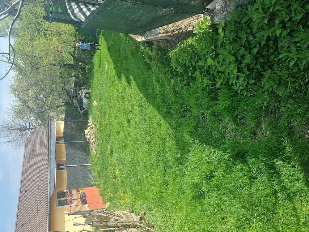 Vând 2 terenuri in Rasinari
