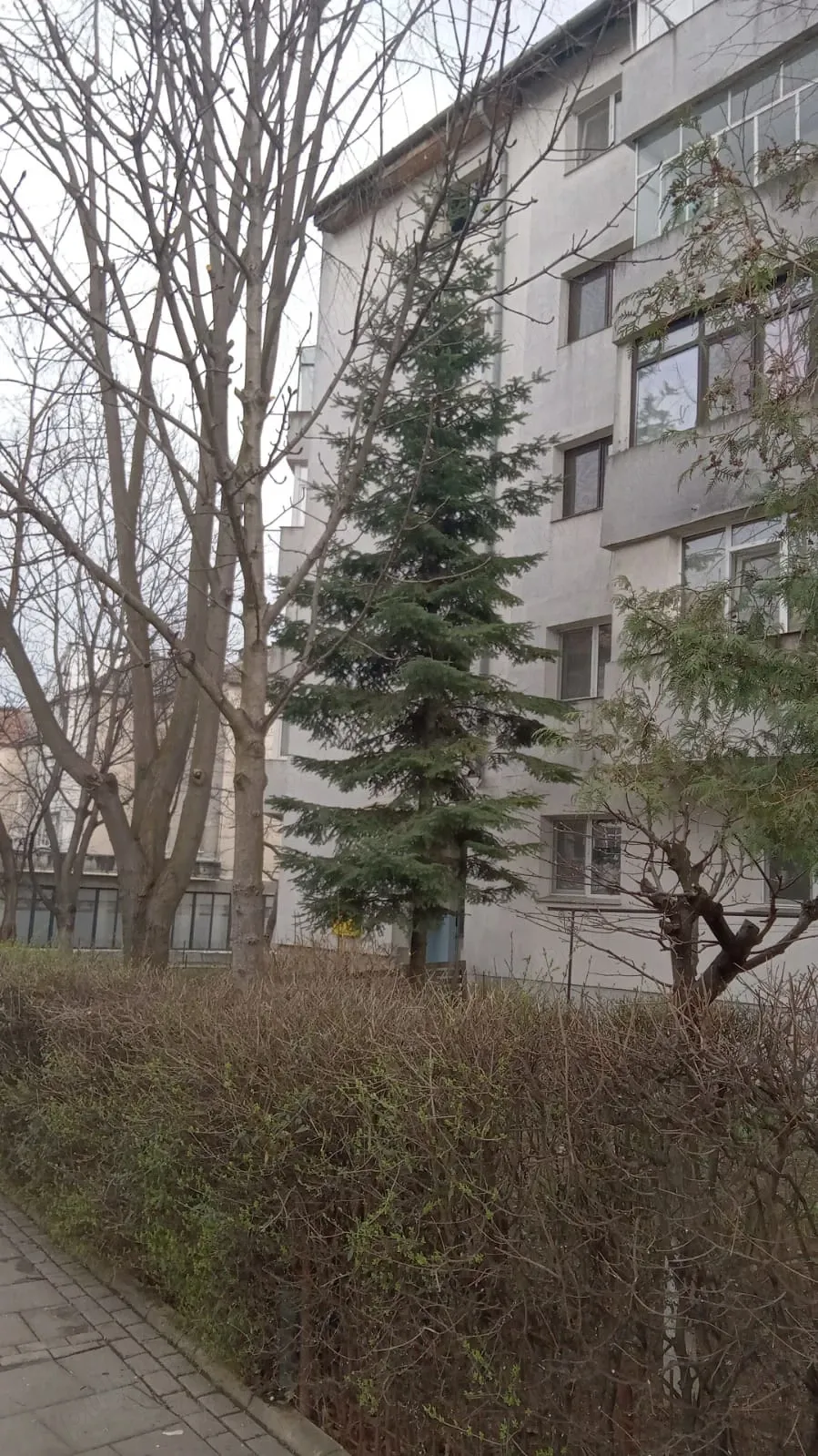Vand apartament cu 3 camere, str. Savenilor, 68 mp