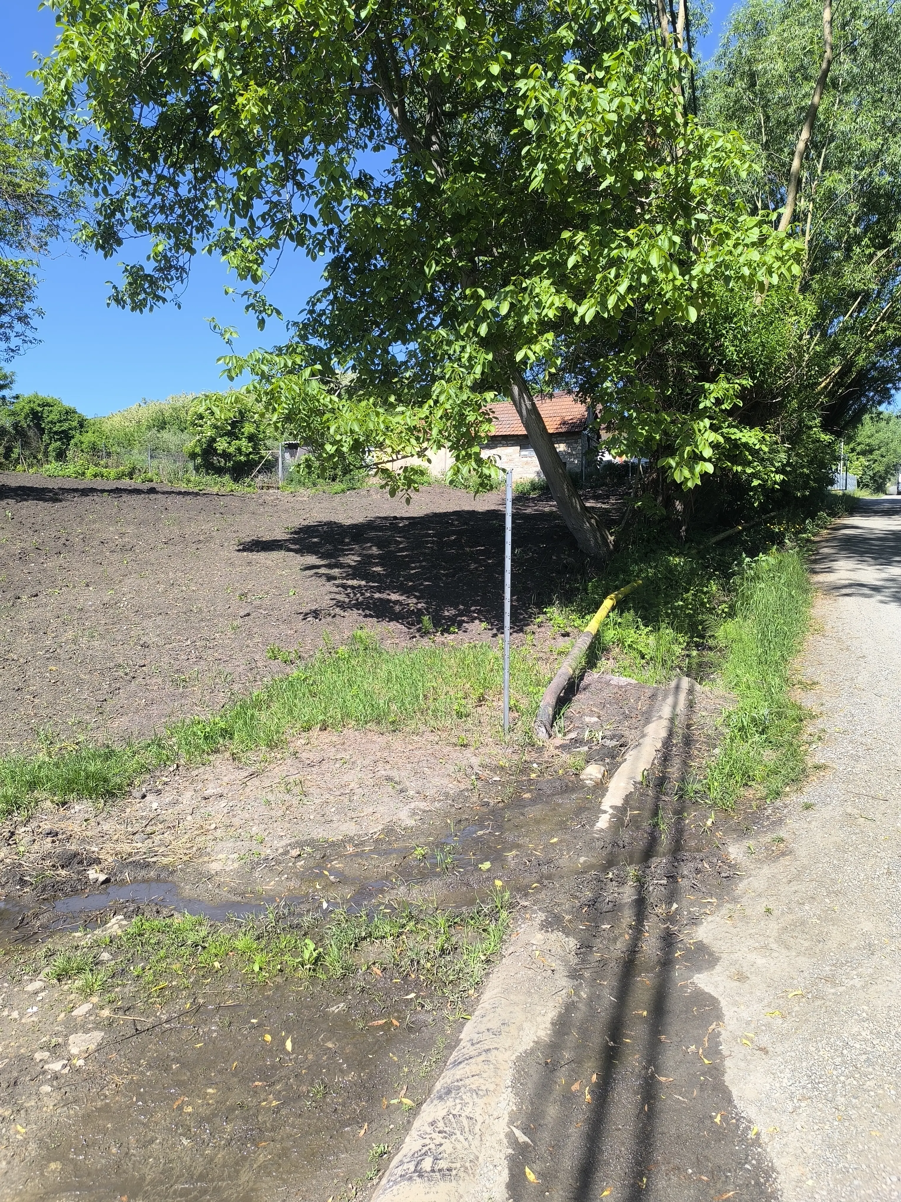 Vând teren intravilan in Borhanci ,în apropierea noului bazin olimpic,noii scoli.1200 m2. Necesita PUZ.Utilitati la marginea terenului.