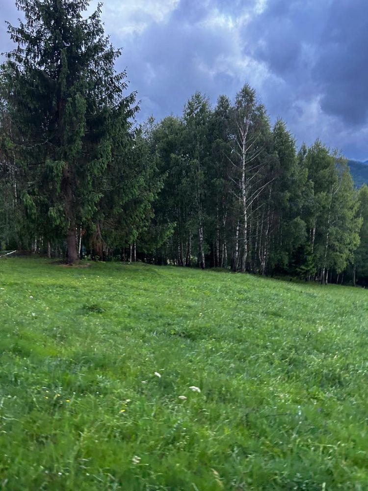 Teren de vanzare muntii  Apuseni