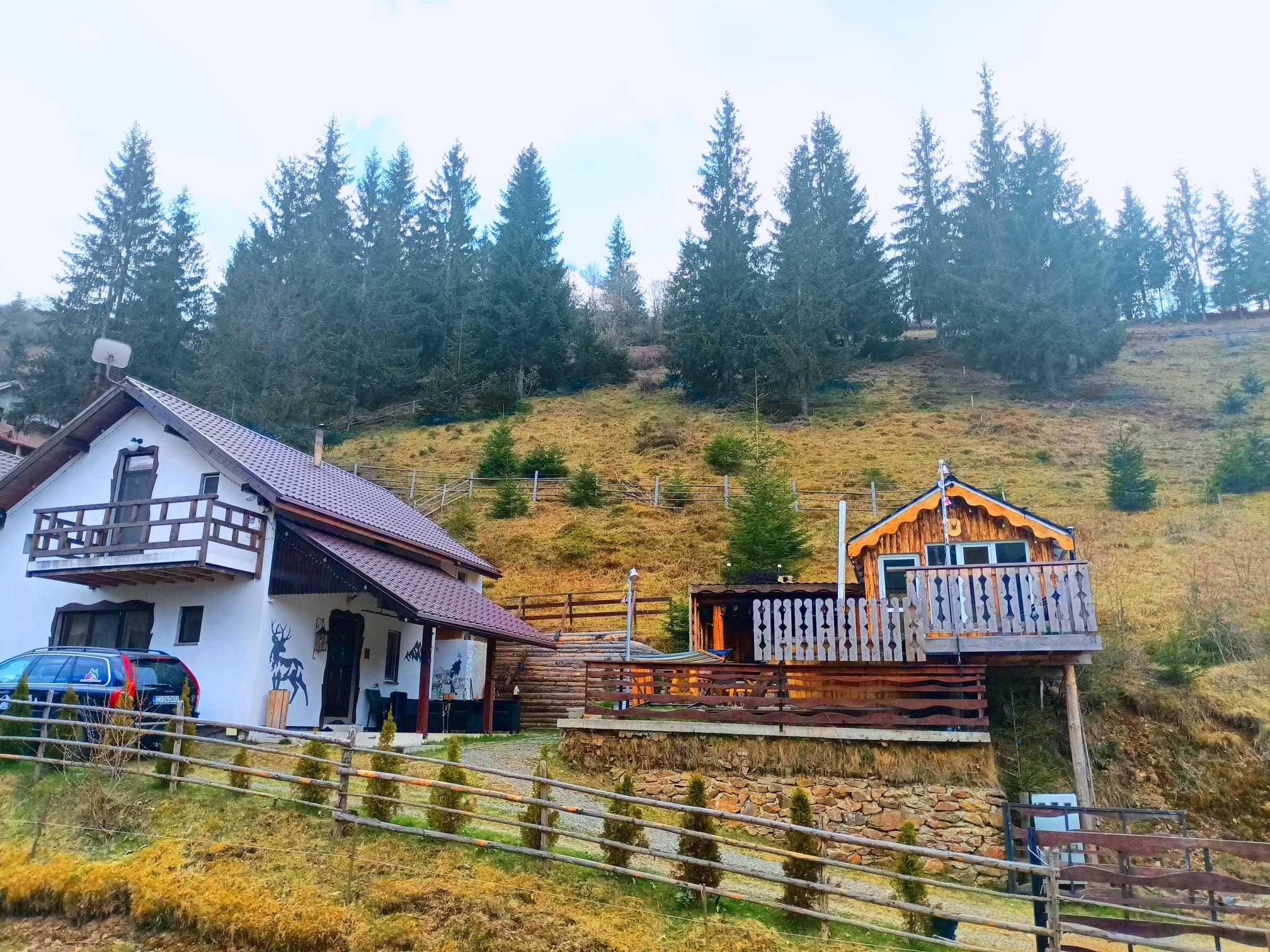 Cabana de inchiriat cu ciubar