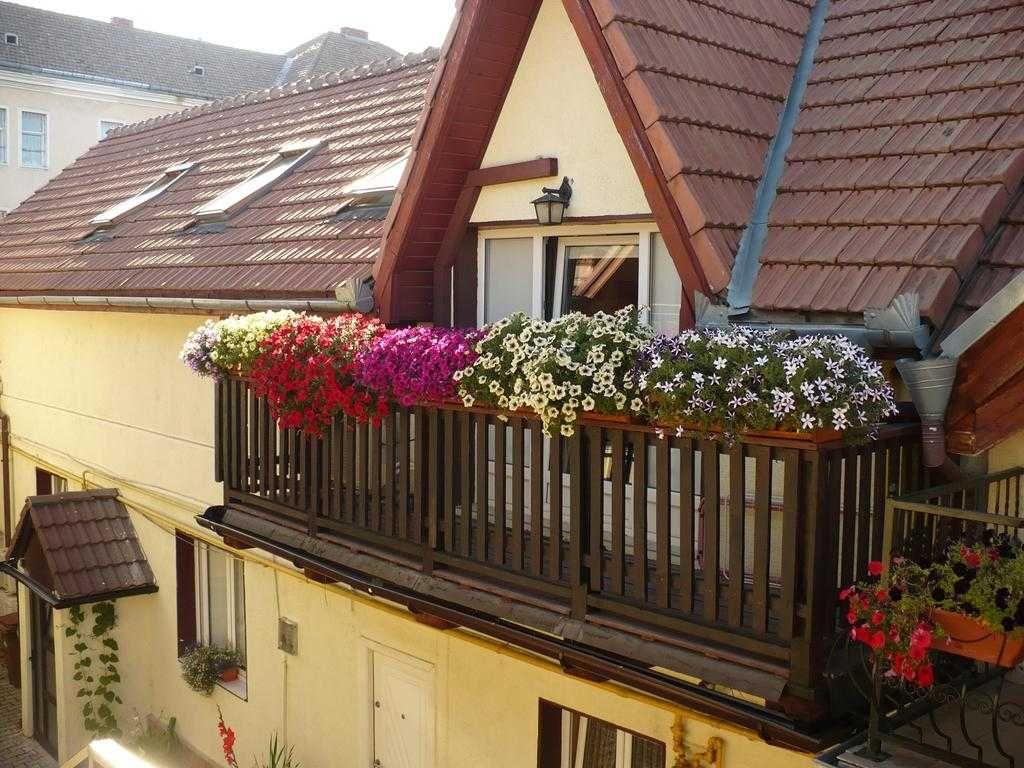 Pensiune de vanzare in Brasov