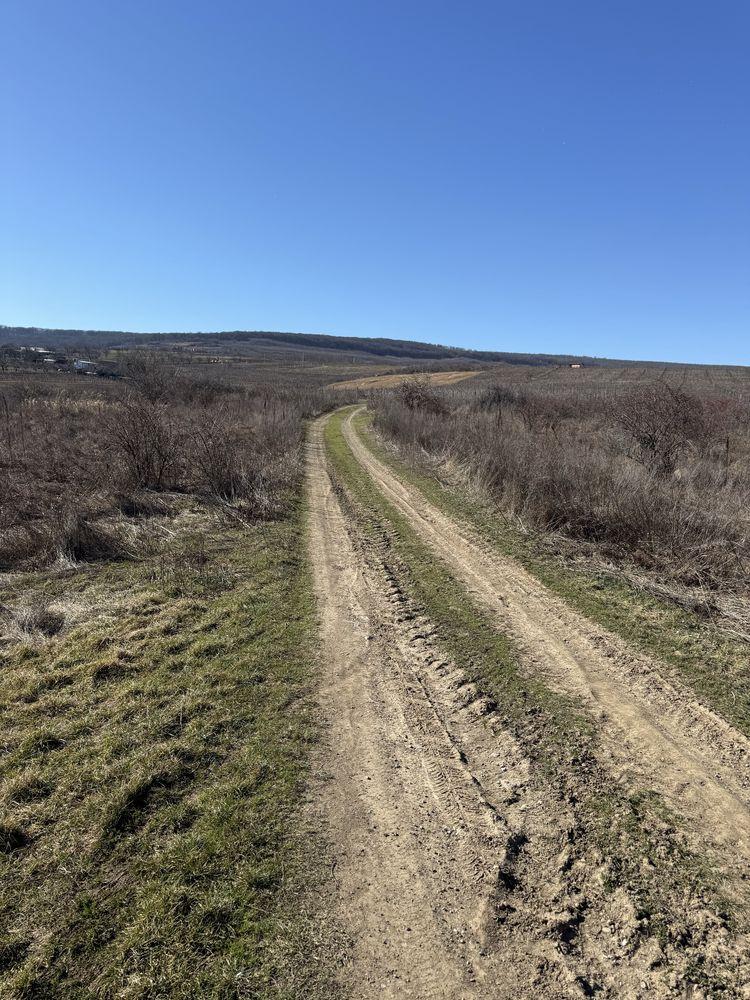 Vand teren Intravilan comuna Tomesti sat Goruni