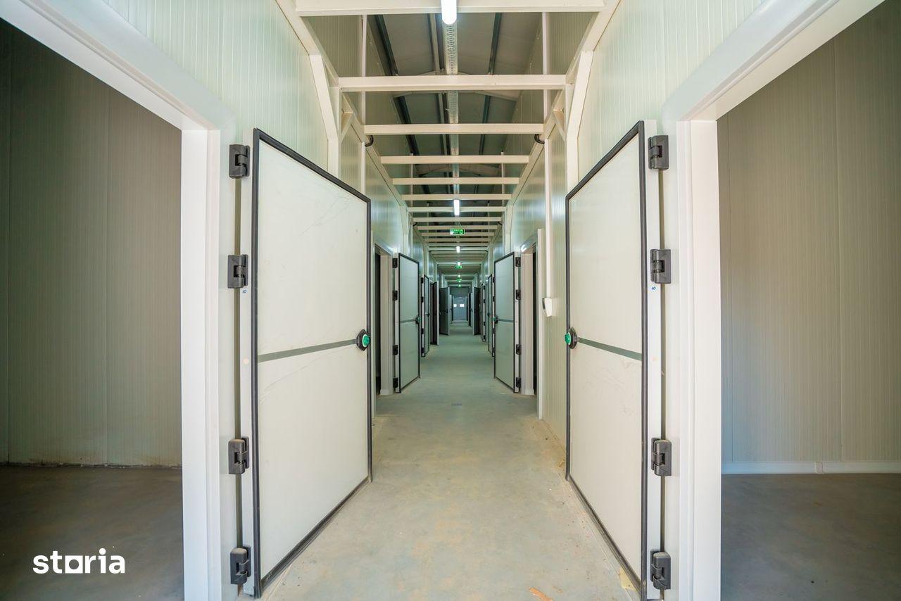 Parc Logistic – Spații de Depozitare, Refrigerare și Congelare