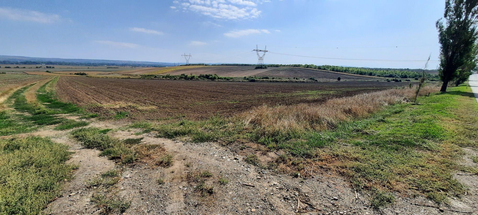 Teren 6000mp Bogdan Voda-A7-centura Bacau