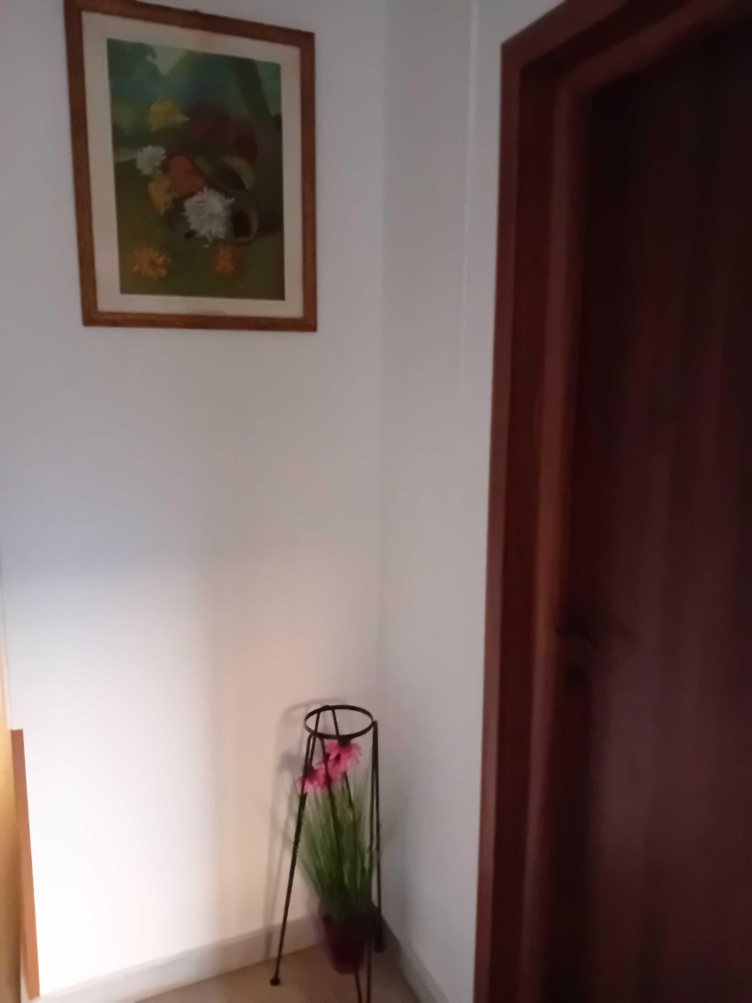 Apartament central
