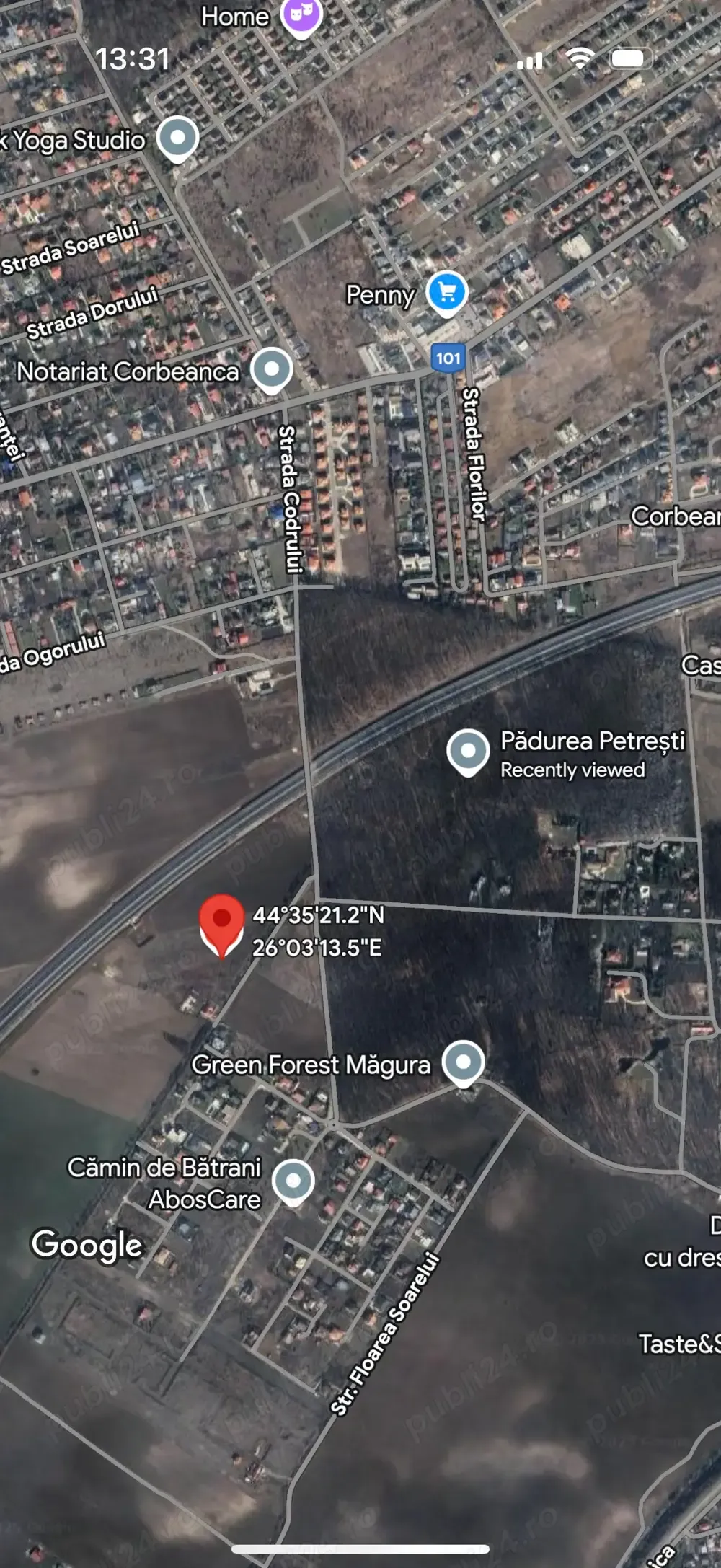 Teren intravilan 26.000 mp de vânzare în Corbeanca   Ilfov - imagine 1