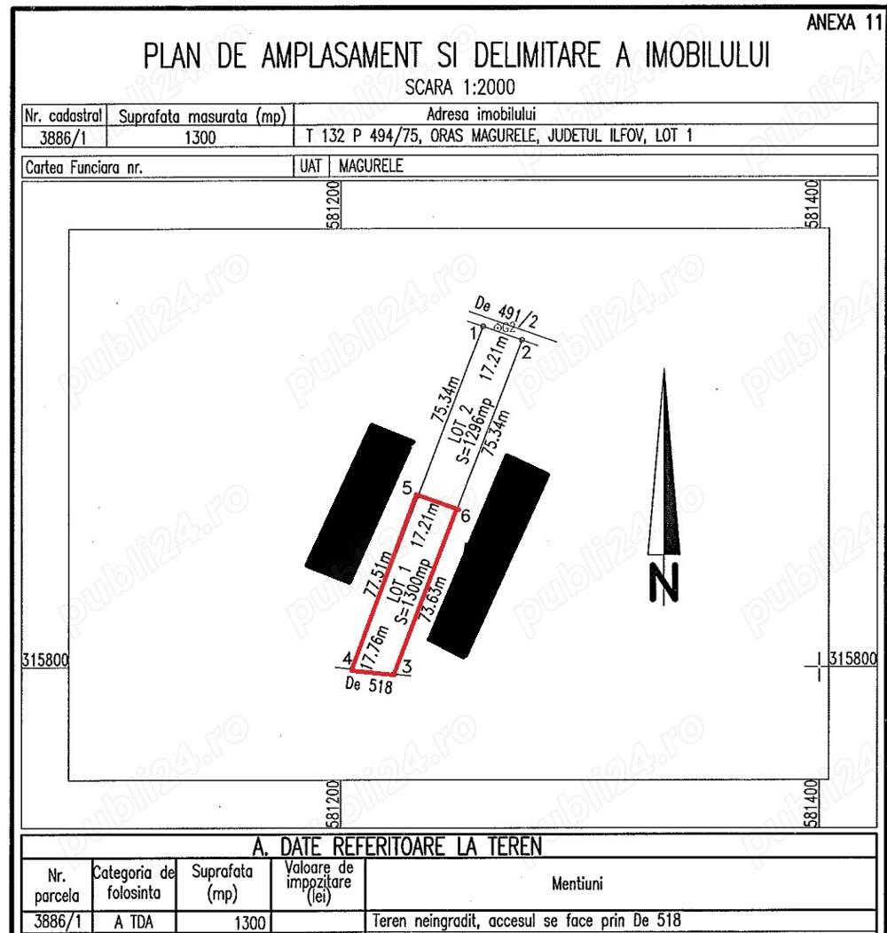 Magurele 1300 mp intravilan - 61 euro mp - toate utilitatile - imagine 1