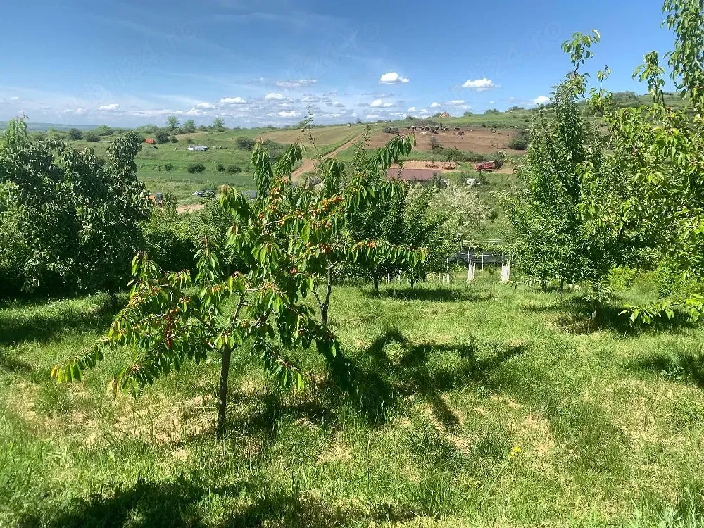 Teren intravilan + fundatie casa, livada, view superb, aproape de Craiova