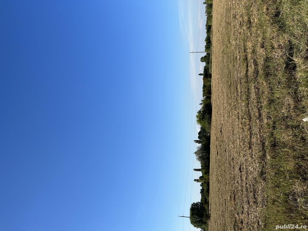 Teren intravilan Balta Verde