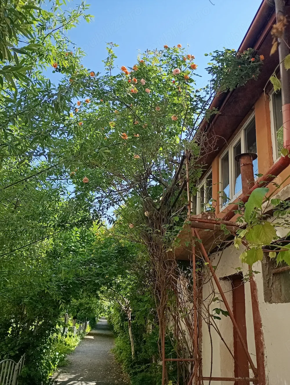 Vînd casa in Rm Vâlcea - imagine 1