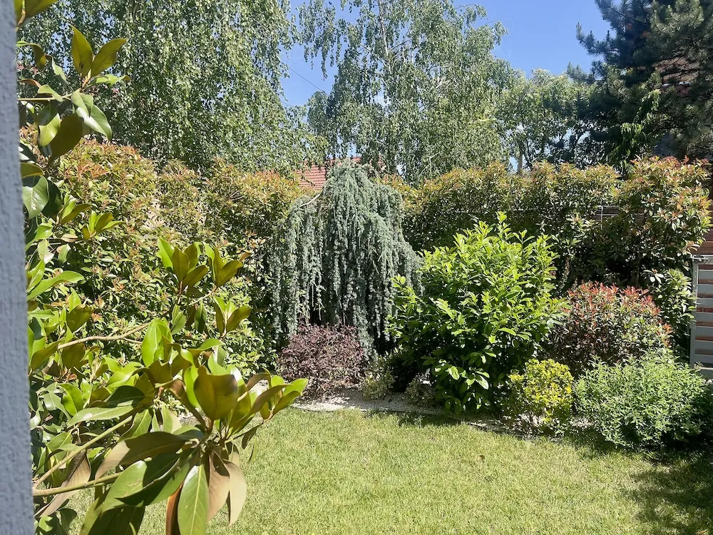 Duplex de închiriat .