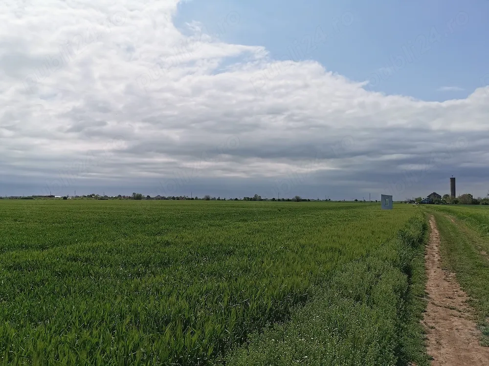 Teren 5HA   Pozitie excelenta pentru investitie   ARAD, DIRECȚIA TIMIȘOARA