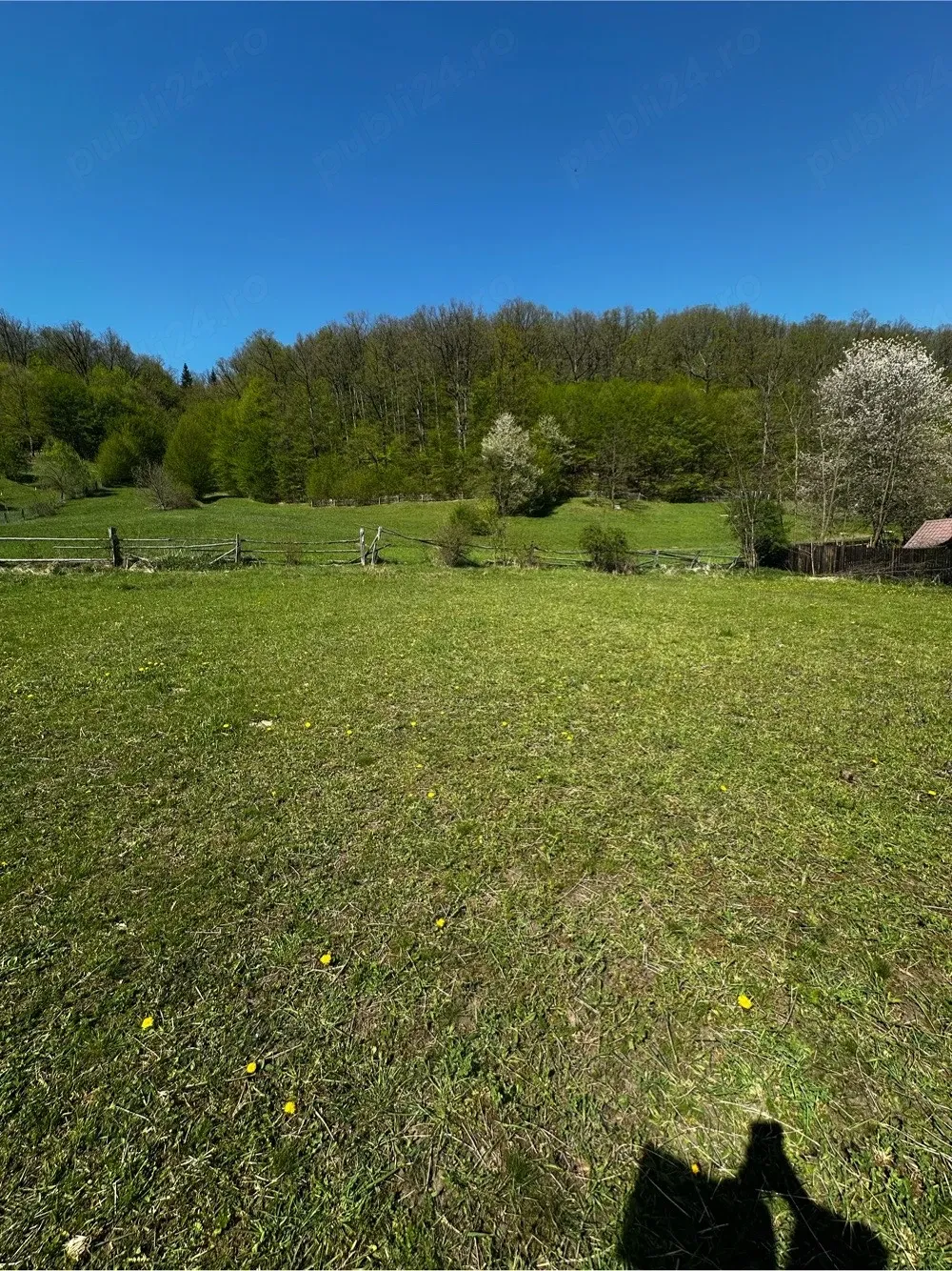1000m2 Teren intravilan Cuejdiu Garcina - imagine 1