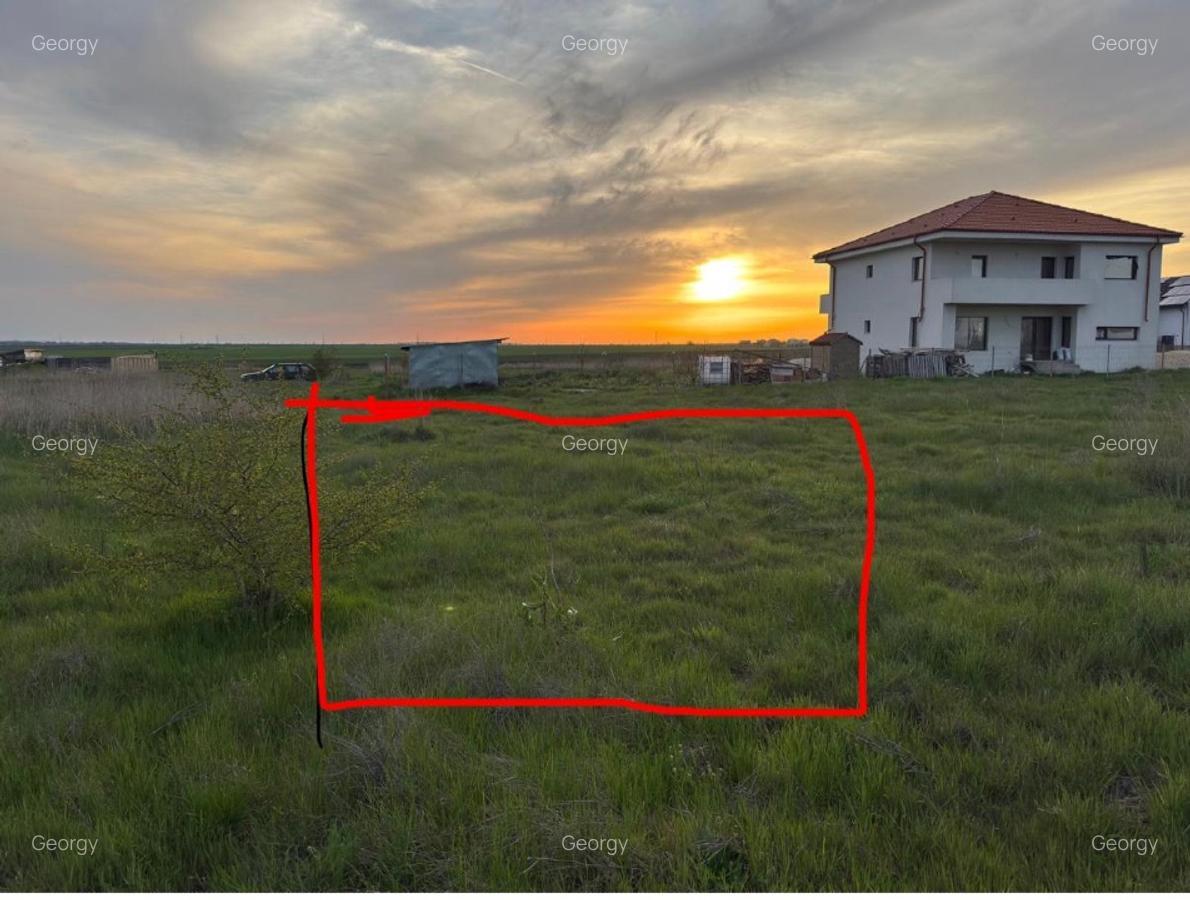 Teren Viile noi extravilan