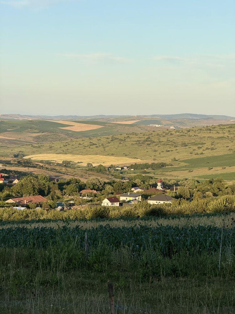 VÂND URGENT – Teren 700 mp Valea Fânațelor Cluj – panoramă superbă – 25.490 €