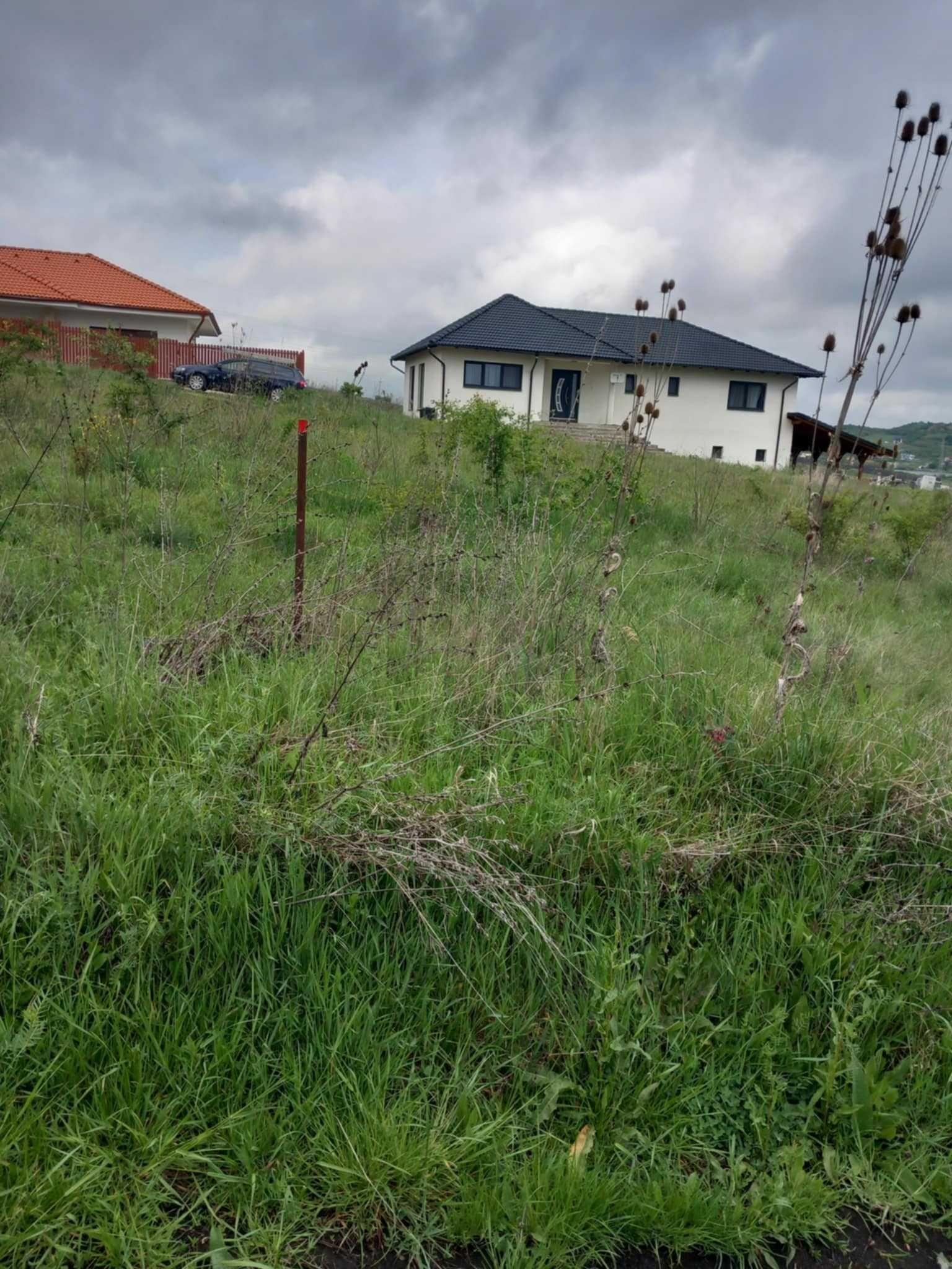 Vand teren intravilan 500 mp2 chinteni