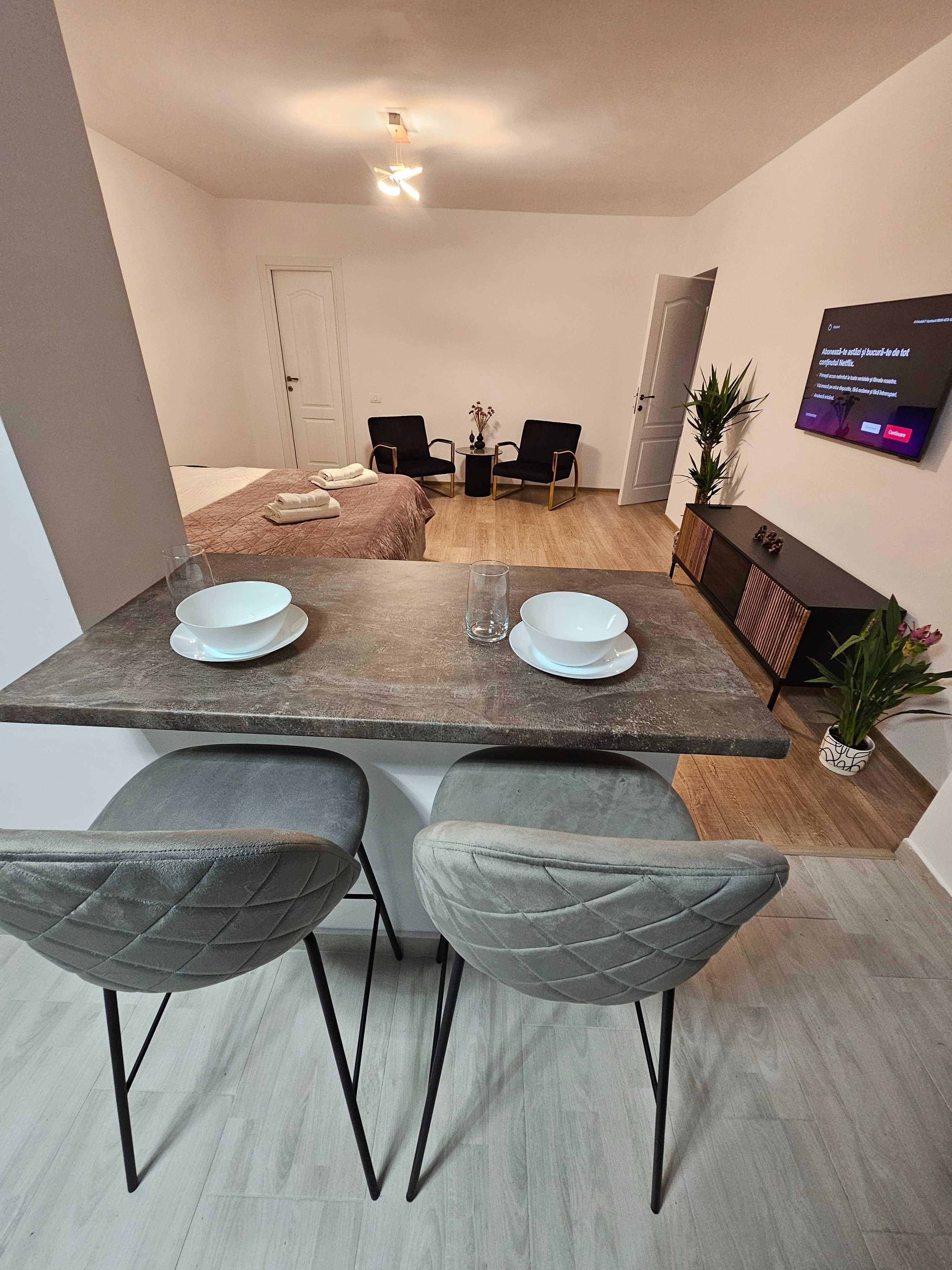 Apartament Ultracentral Vânzare 60 MP în Vilă, Drumul Poienii Brașov