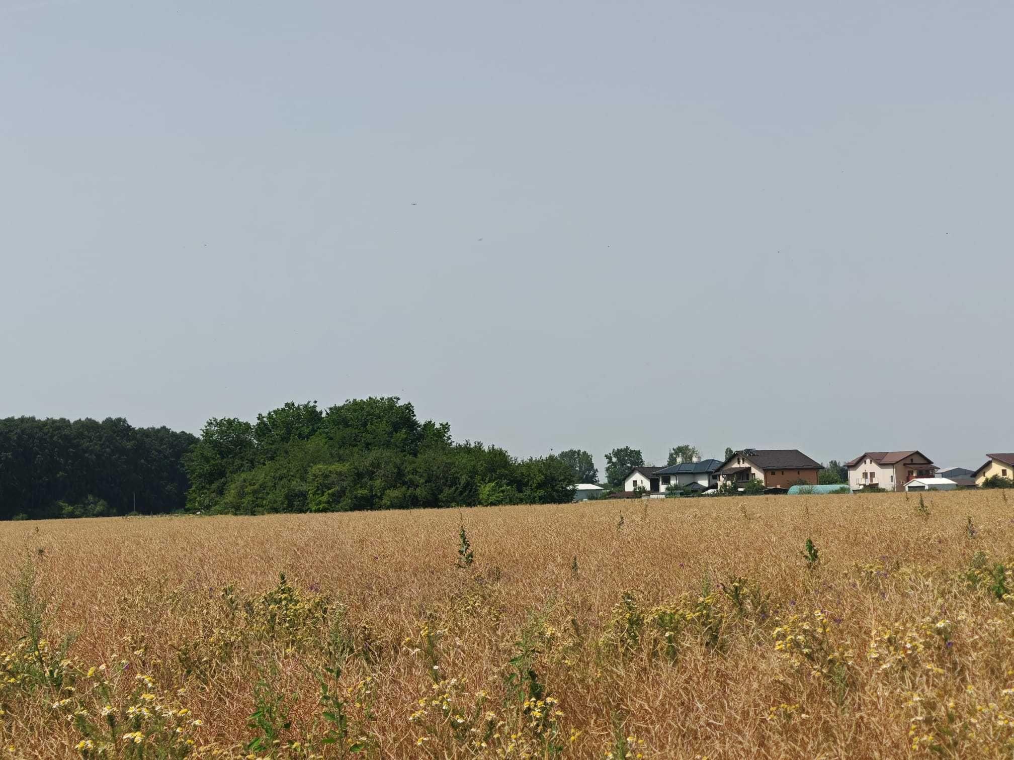 Teren, 8950 mp, langa padure, Intravilan, Magurele, strada Tangentei - imagine 1