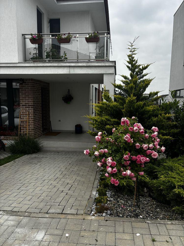 Casa premium 165 mp, mobilata si utilata complet, Mogoșoaia, proprietar