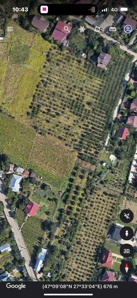 Teren intravilan Iasi