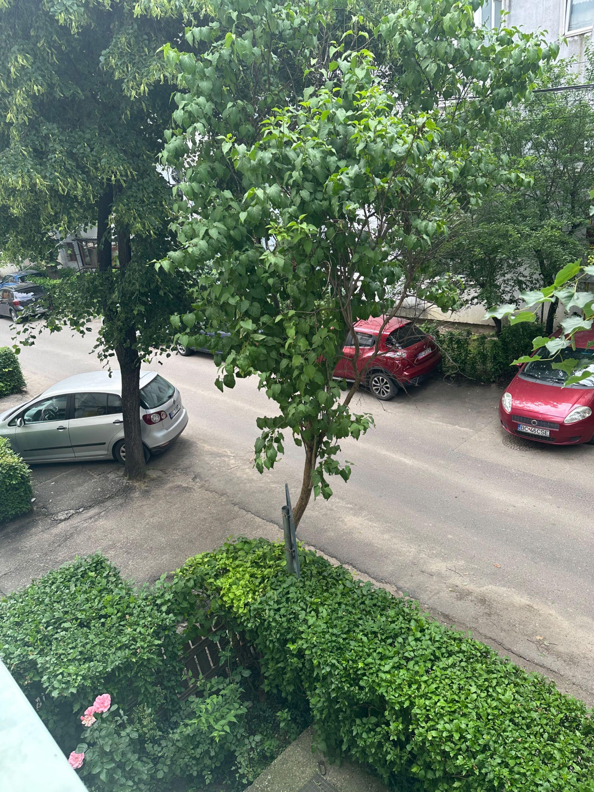 Apartament 2 camere decomandate zona centrala de inchiriat