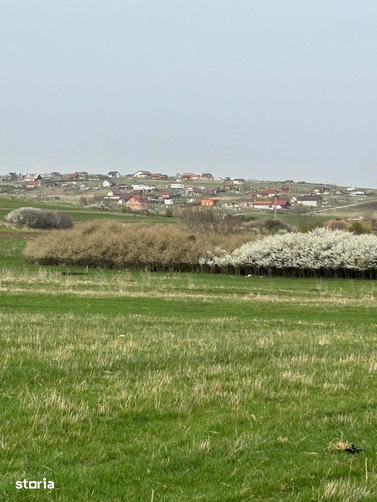 Teren de vânzare, zona Drotleff, 689 mp - imagine 1