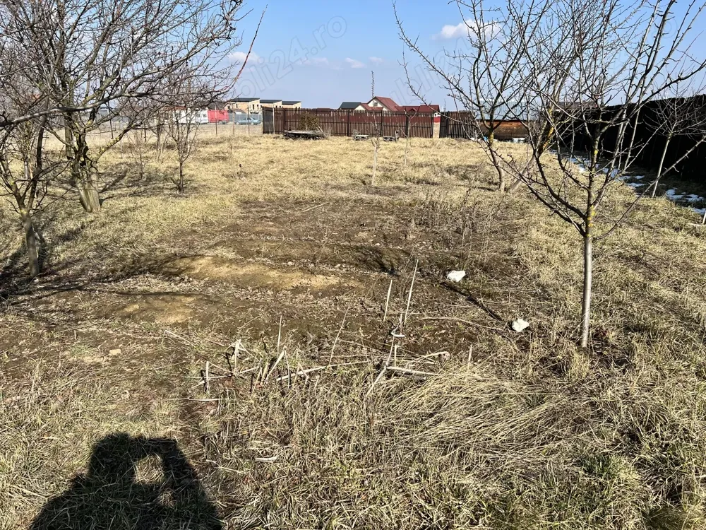 Teren intravilan 1000 mp cu cabana ingradit utilitati PUZ livada pomi fructiferi