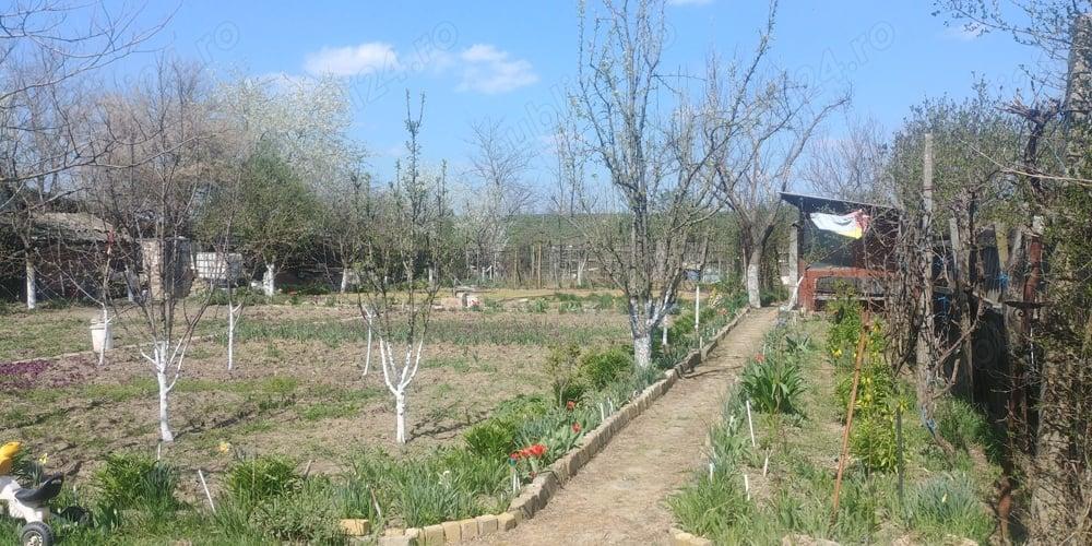Gradina cu cabana la balastiera Micalaca - imagine 1