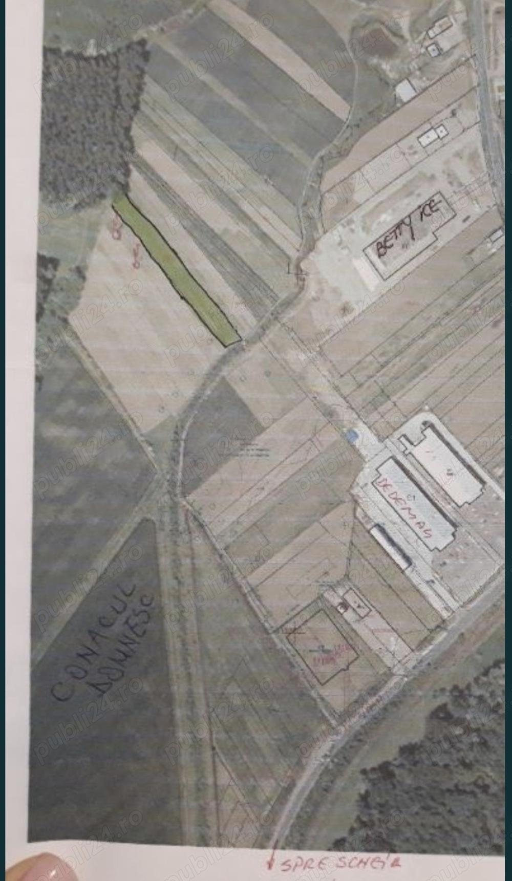 V nd 39 ari intravilan  n spate la fostul Dedeman 320 000 euro - imagine 1