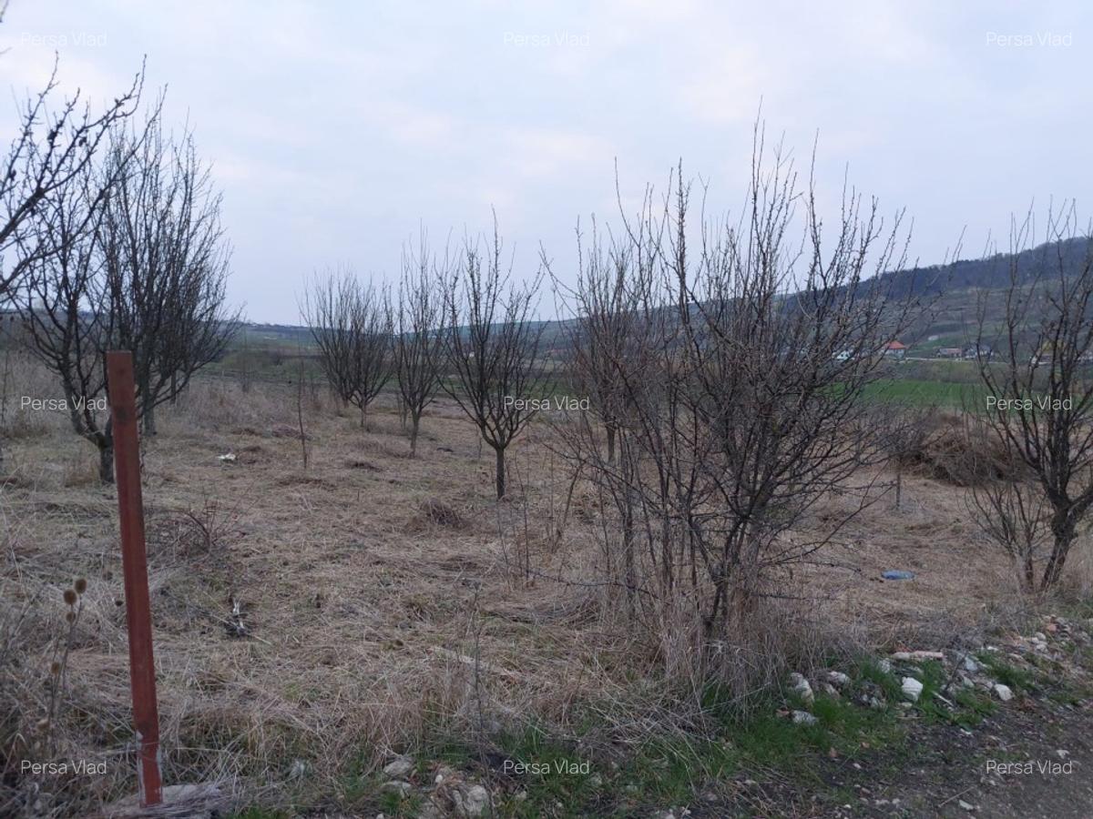 Vand Teren Intravilan Cluj Napoca Fara PUZ Valea Fanatelor - imagine 1
