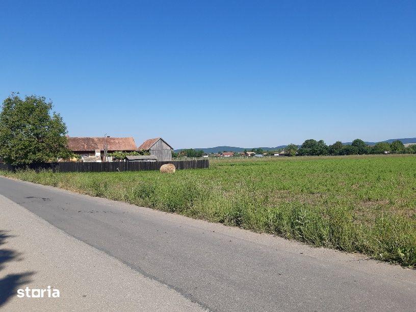 Teren intravilan construibil utilitati asfalt central Lunca Calnicului