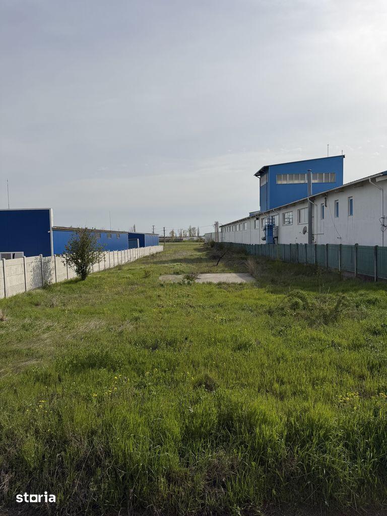 Teren stradal 5000 mp- deschidere 20 metri- Zona Selgros Craiova - imagine 1