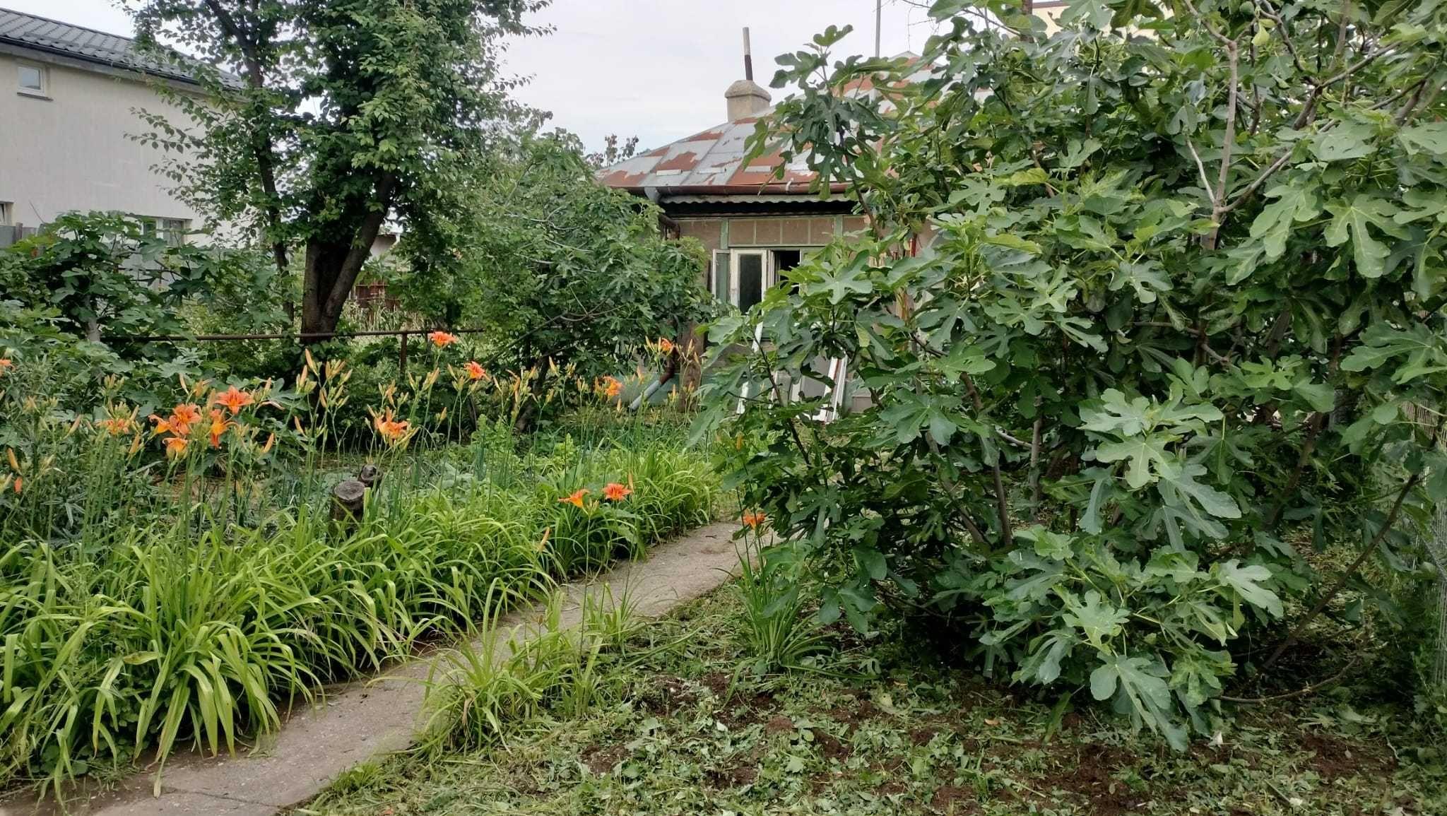 Casă de vânzare Cartier 23 August