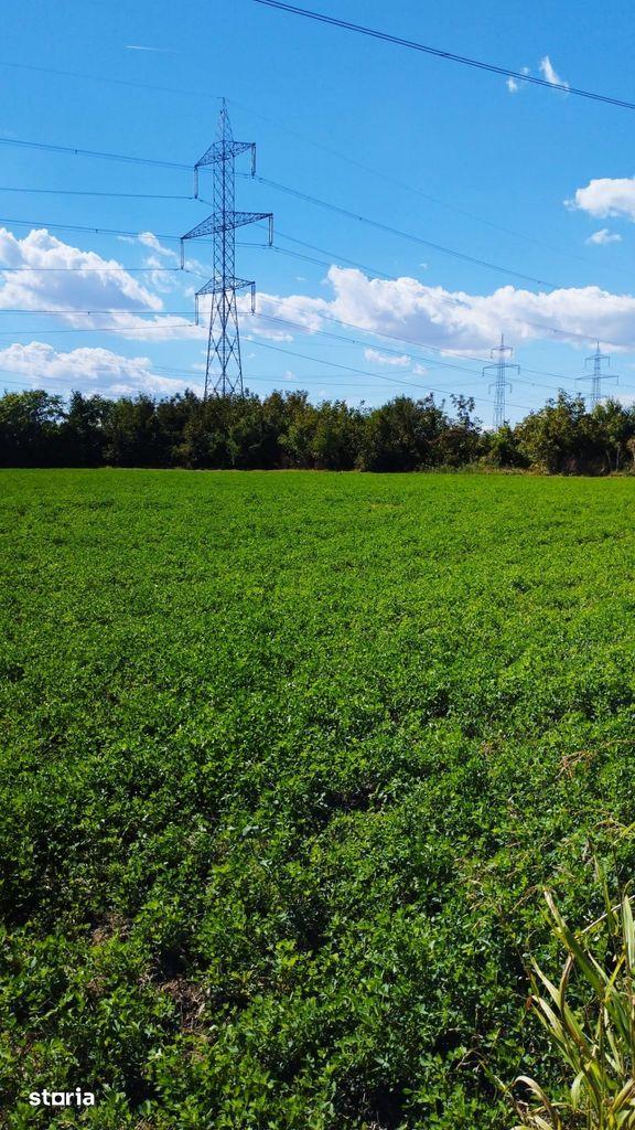 Terenuri intravilane 4550 MP, deschidere la stradă 30m