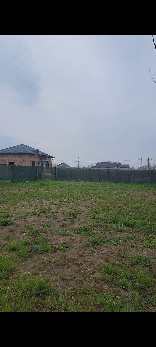 Proprietar – Vând teren în Buftea, str. Vasile Voiculescu (2 loturi alăturate)